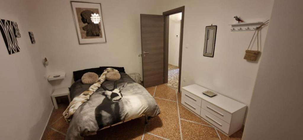 Migu Point Intero Appartamento Pisa Exteriér fotografie